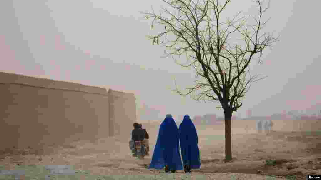 Afghan women clad in burqas walk past a tree in Bagram. REUTERS/Ahmad Masood