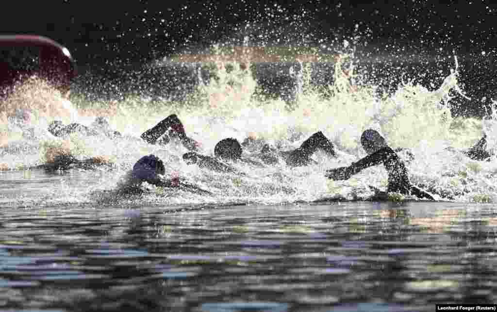 Плавание на открытой воде, финал мужского заплыва на дистанцию в 10 километров