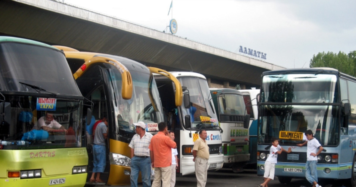 Әдемі қыздардың түкті писькилерінің бейнелері