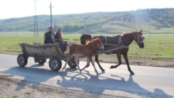 Diaspora, mai activă și mai solidară cu cei de acasă, în ciuda pandemiei