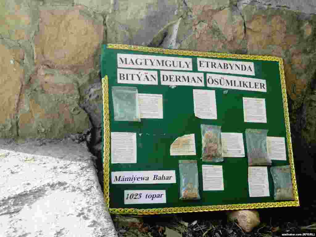 Türkmen döwlet lukmançylyk uniwersitetiniň howlusynda ýerleşdirilen görkezme tagtasy