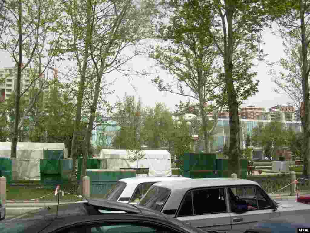 Bakıda gül bayramına hazırlıq gedir #17