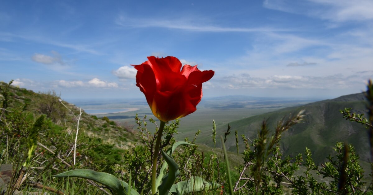 Саратовтағы жұп секс