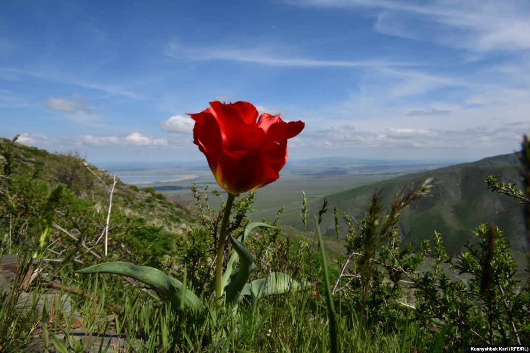 Кристина Орбакайте секс
