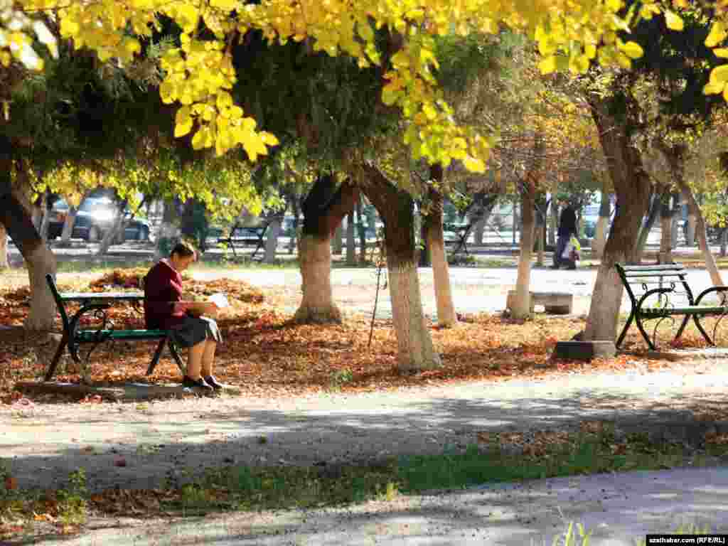 Şähere güz geldi