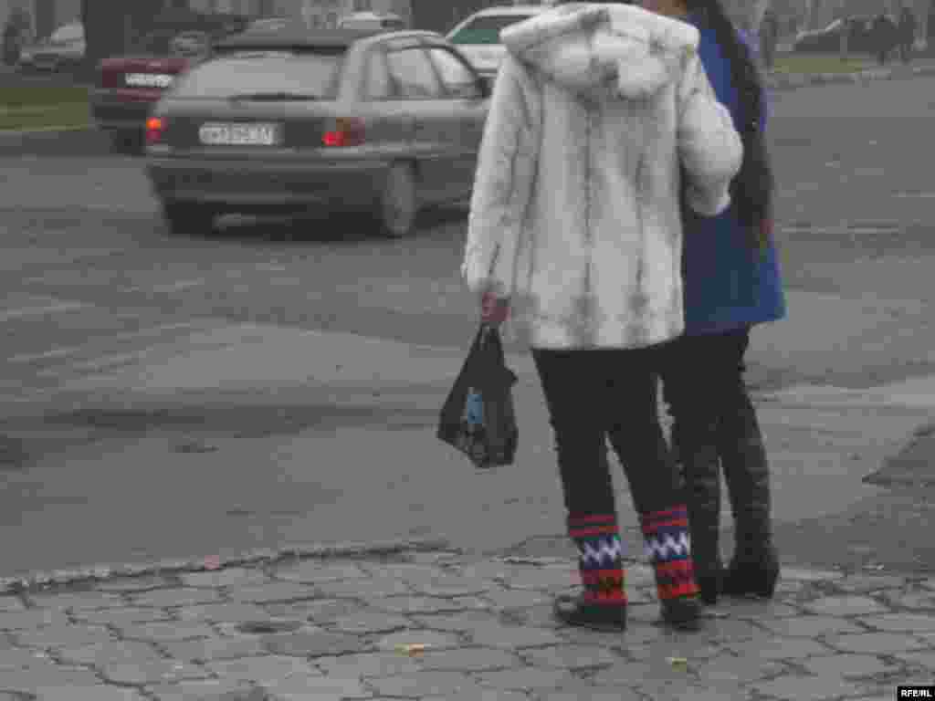 Мӯди нав: Ҷӯроби бадахшӣ #44