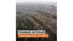 На трамвае через тайгу, уникальный маршрут в Иркутской области