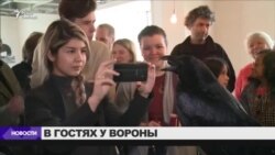 В Лондоне открыли кафе с воронами