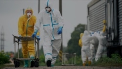 Ukrainian Teams Fight To Recover Bodies Of Fallen Soldiers 