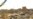 U.S. Army Says Mastermind Of Iraqi Yezidi Attacks Killed
