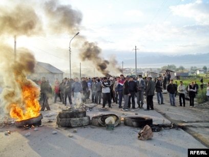 Жалаңаш миозотис суреттері
