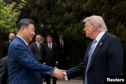 Президент США Дональд Трамп и председатель КНР Си Цзиньпин в саду Чжуннаньхай в Пекине. 15 мая 2026 года