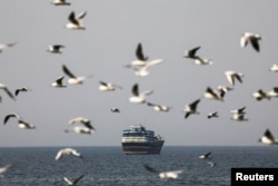 Ормуз кысыгы. Мусандамдан (Омандын аймагы) тартылган сүрөт.