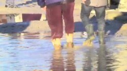 Bakıda 'bataqlıq'da yaşayanlar