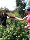Moldova, Mariana Ursachi gave up her teaching career in Chișinău for agriculturerfe