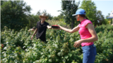 Moldova, Mariana Ursachi gave up her teaching career in Chișinău for agriculturerfe