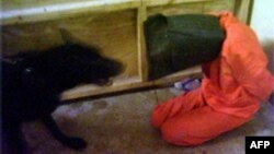 (ілюстраційний відеокадр)