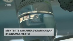 Сейтек STEM мектебинде 80 бала тамакка ууланды 