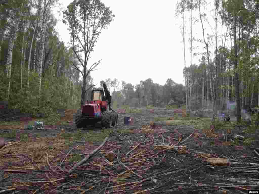 An idle tractor sits amidst felled trees on the site of the planned highway on August 27. Russian President Dmitry Medvedev had ordered a halt to construction. 