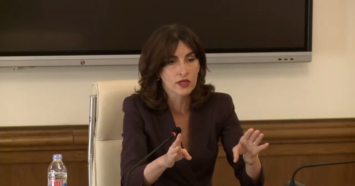 ევროპელი პოლიტიკოსები კარგად მიხვდნენ, რა არის "გლობალური ომის პარტია" - მაკა ბოჭორიშვილი "წულუკიანის კომისიის" სხდომაზე