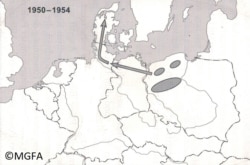 Оперативный план вторжения Войска Польского в Данию через ФРГ, свидетельство генерала Яна Држевецкого