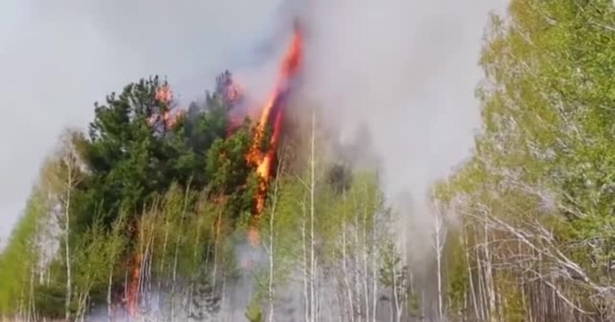 Soul of Siberia　Wild Siberia fired Soul of Siberia Wild Siberia fired As Frozen Land Burns