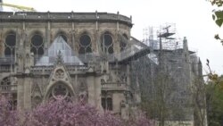 Catedrala Notre Dame, a doua zi după incendiu