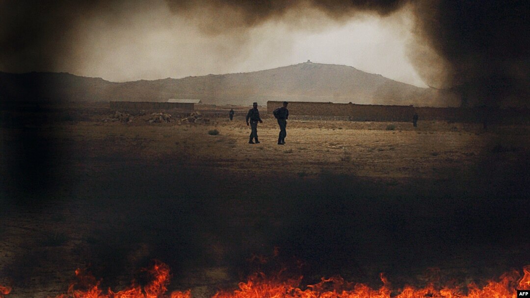 Ооганстан -- Полиция апийим өрттөөдө.