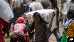 Foametea din regiunea Tigray riscă să devină o catastrofă umanitară majoră dacă celelalte țări nu trimit ajutoare umanitare cu hrană în curând.