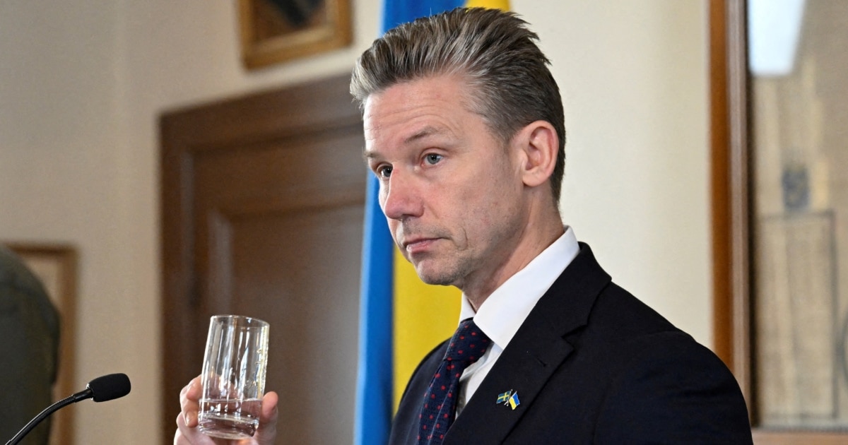 Швеція підтвердила, що збитий дрон біля авіаносця Charles de Gaulle – російський