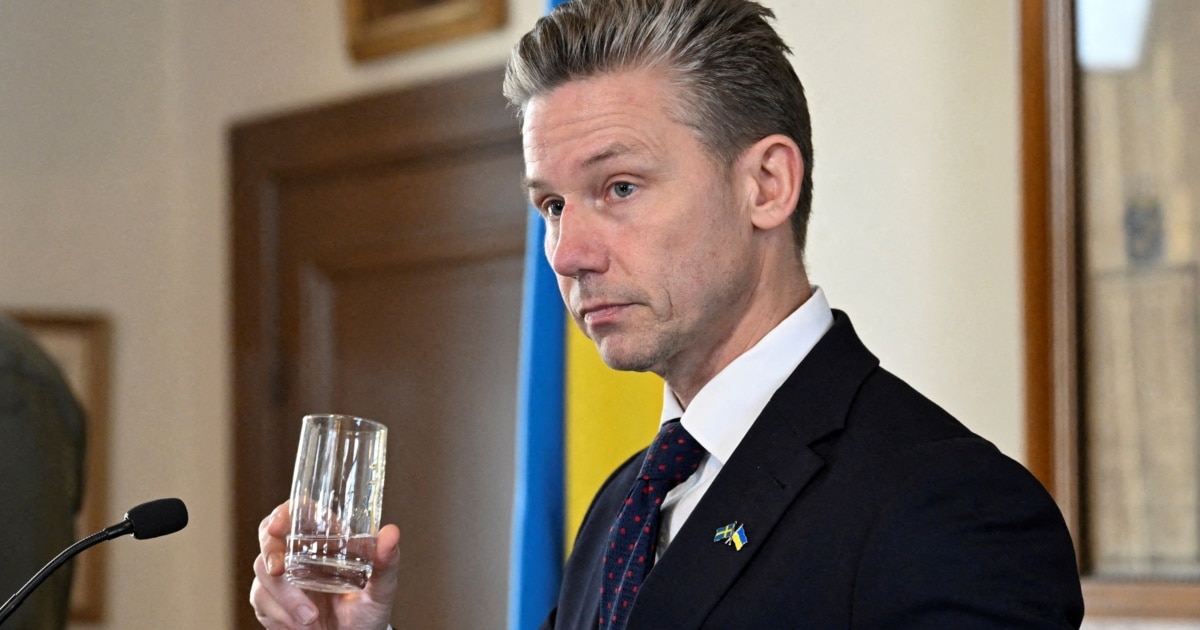 Швеція оголосила новий пакет військової допомоги Україні на 4,8 мільярда крон