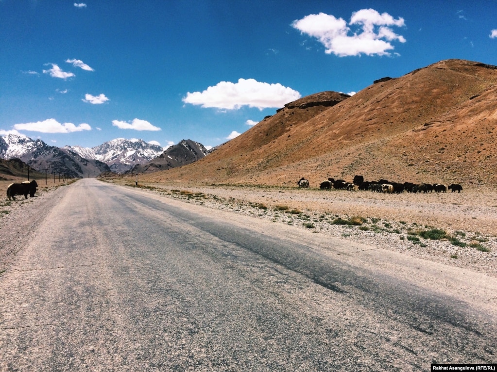 Pamir jolınıñ köp böligi Täjikstan aumağınan ötedi. Bwl jol el astanası Duşanbe qalasın Badahşan öñiriniñ ortalığı Horog qalasımen jalğap jatır.&nbsp;