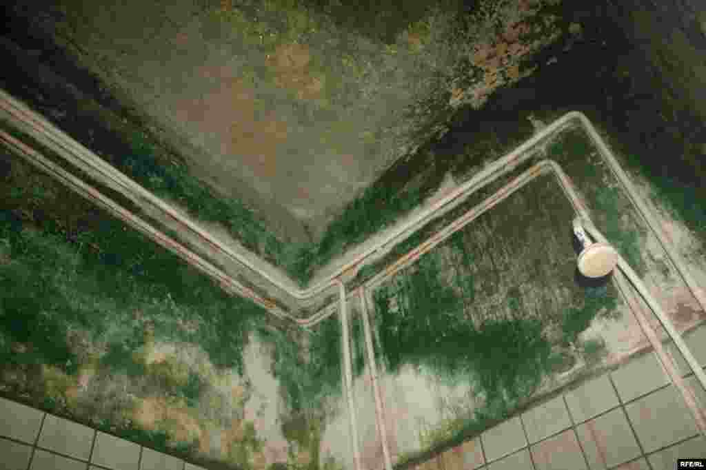 Hamam özü də kirlənir #24