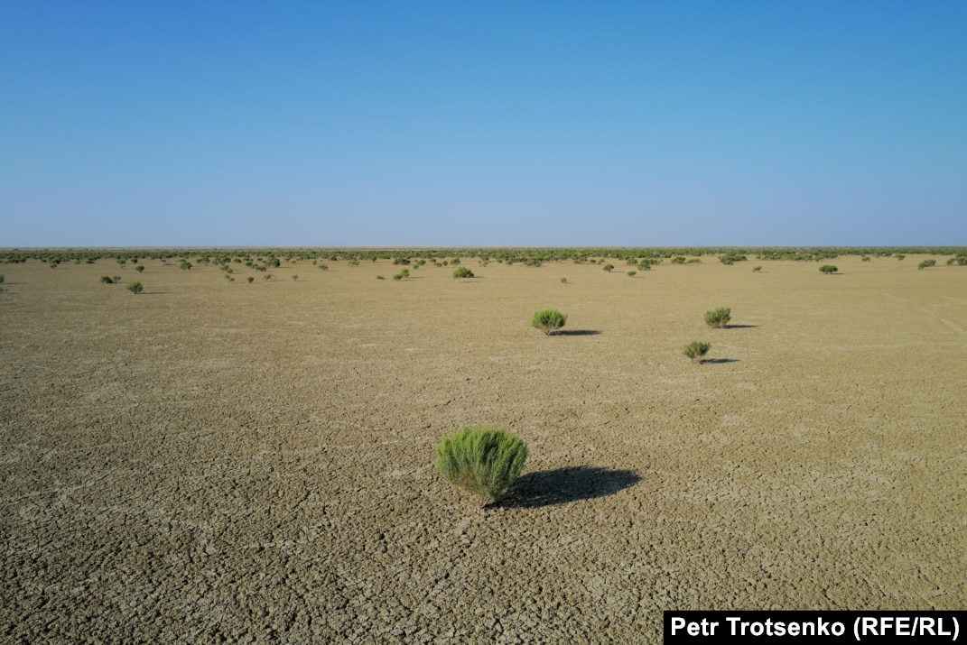 «Соңғы қаһарман» телешоуындағы жанжалды секс суреттері Порно