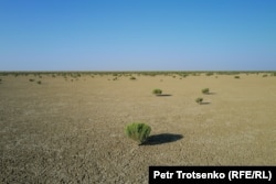 Bir wagtlar Aral deňziniň düýbi indi ýarym çöllük ýer, Gazagystan, Gyzylorda oblasty