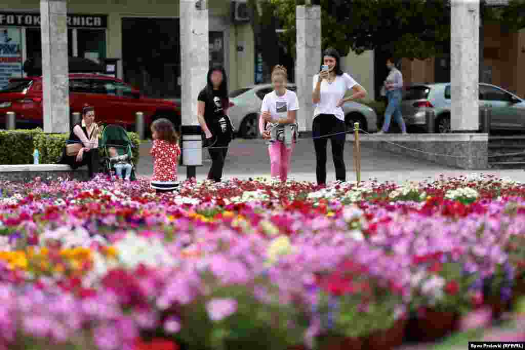 Prolaznici fotografišu cvjetni tepih. Cilj je da slika iz glavnog crnogorskog grada obiđe svijet.