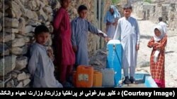 ارشیف، عکس تزئیني بڼه لري