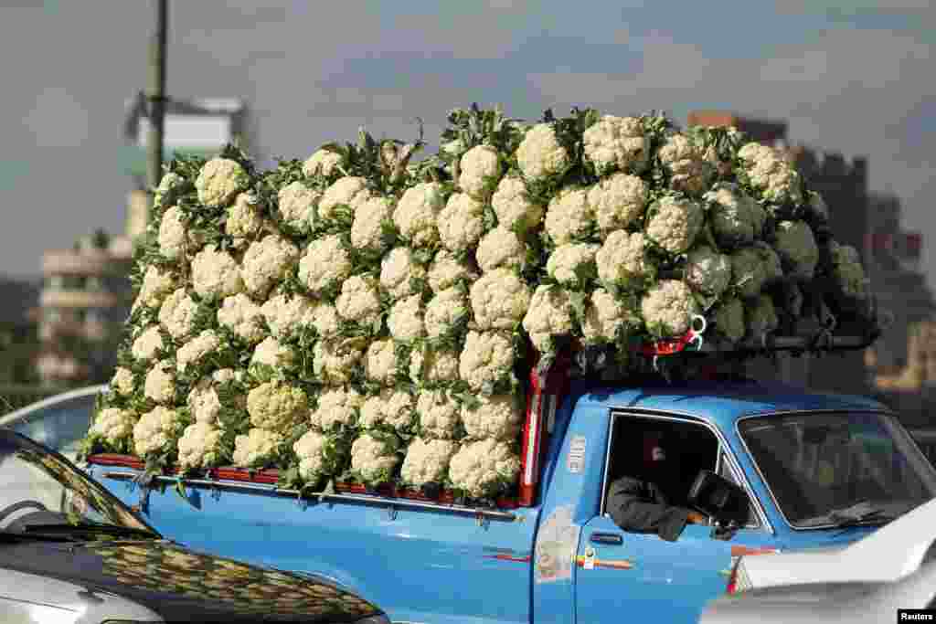 A truck loaded with cauliflower drives toward a market in Cairo, Egypt. (Reuters/Khaled Abdullah)