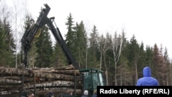 Защитники Химкинского леса блокируют работу техники