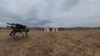 Chinese Robot Dog In Serbia
