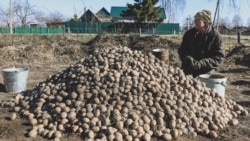Ілюстрацыйнае фота