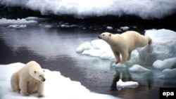 Melting ice caps pose a danger on numerous levels, experts agree.