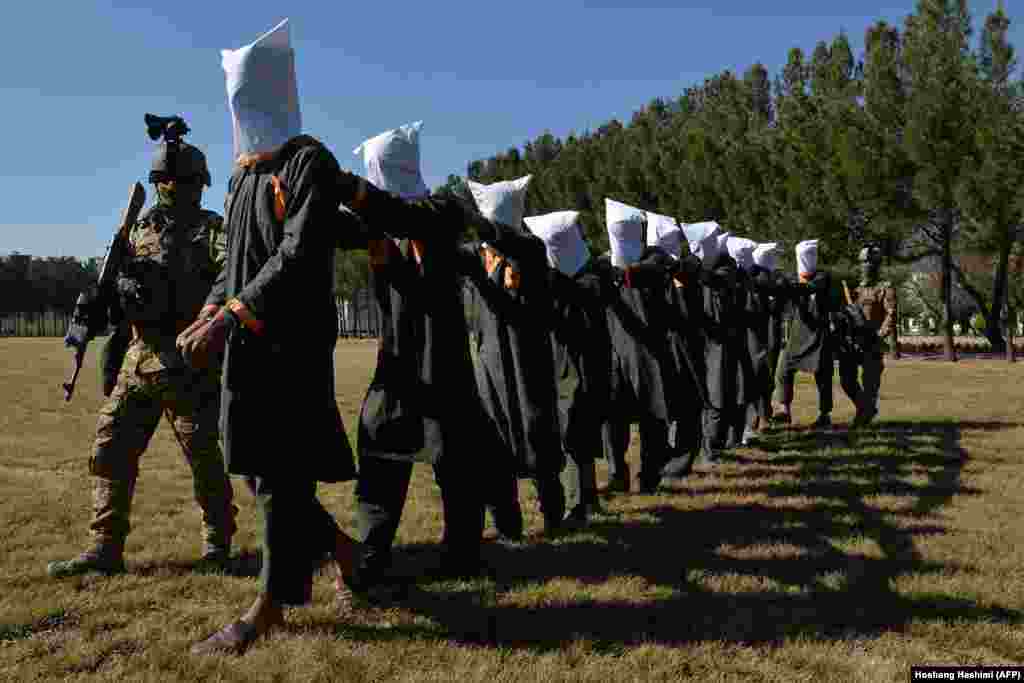 Afghan security forces in Herat escort suspected Taliban fighters after their detention. (AFP/Hoshang Hashimi)