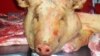ЄС звернувся до СОТ щодо заборони Росією імпорту свинини