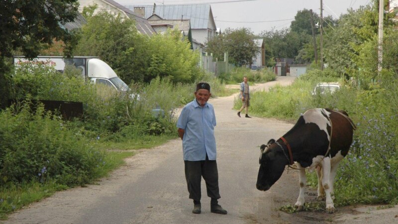 Вязальщицы ждут, или Молоко для бедных подорожает в пользу друзей Путина и Медведева
