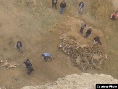 Pat-a-dushka uchun jinsiy pozitsiyalar