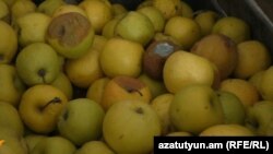 آرشیف، عکس جنبه تزئینی دارد