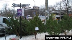 Продажа сосен в Симферополе. 18 декабря 2016 года