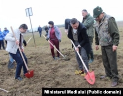 Împădurire finanțată de Ministerul Mediului în Oltenia