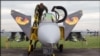 Один из истребителей Gripen на авиашоу в Чехии